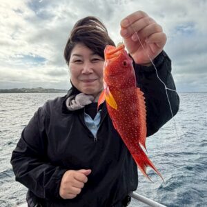 今日の釣り船【2025-11-25】